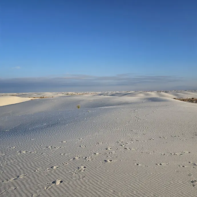 white sand dune national park