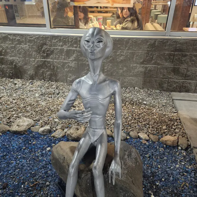 Roswell NM Aliens