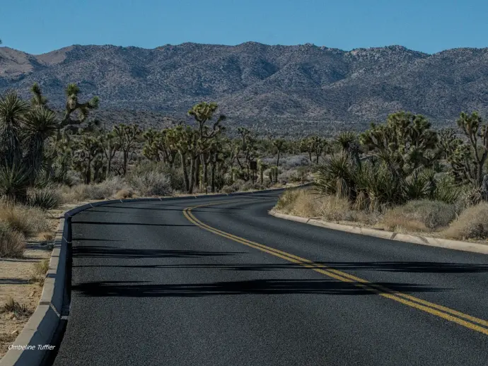 joshua tree national park californie usa road trip