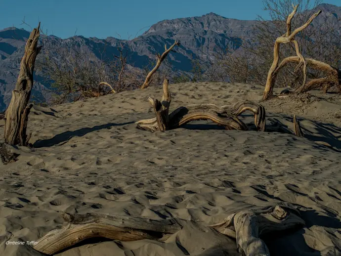 death valley national park californie 