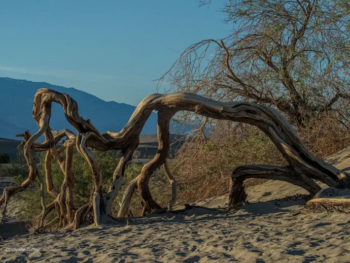 death valley national park californie