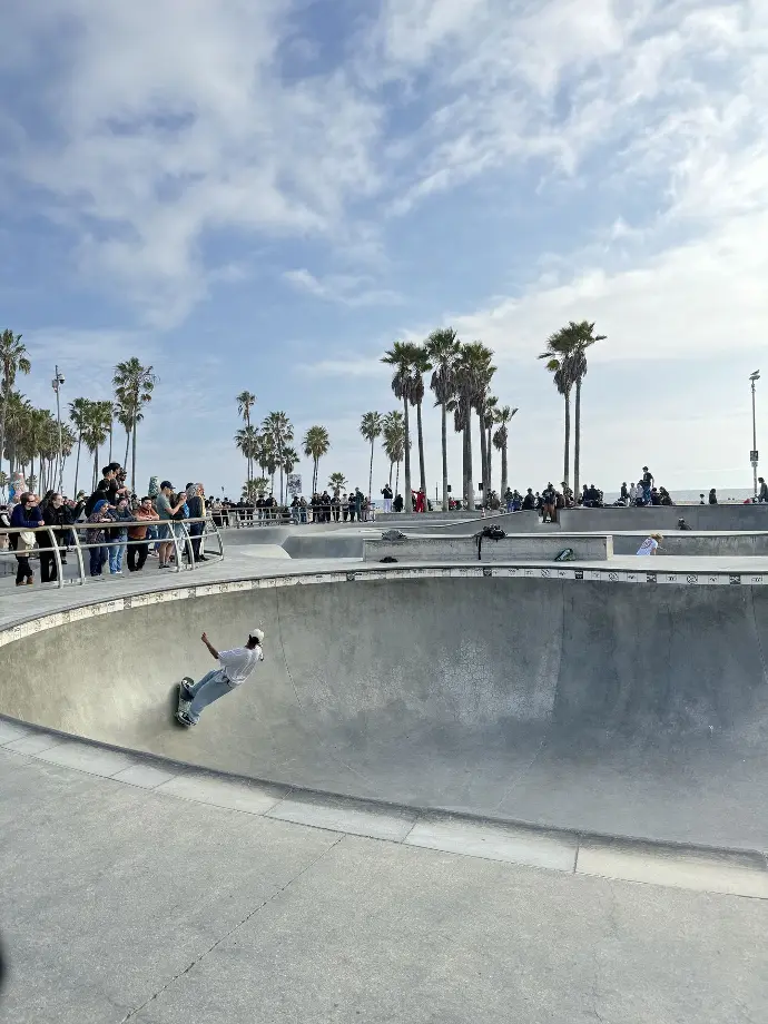venice beach LA skate