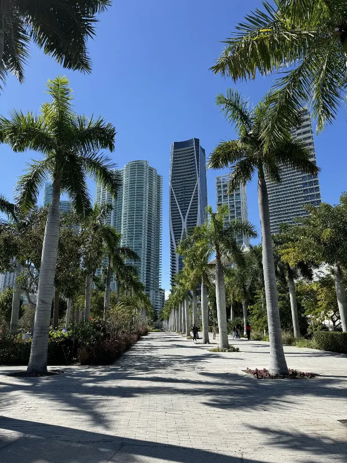 palmiers building miami soleil