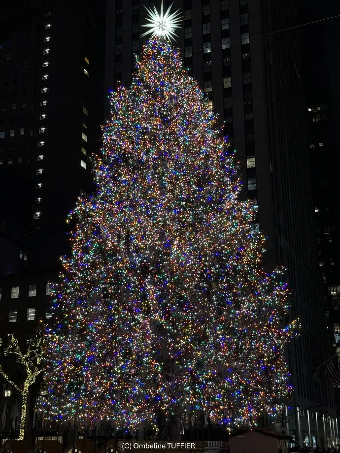 noel usa new york city décoration