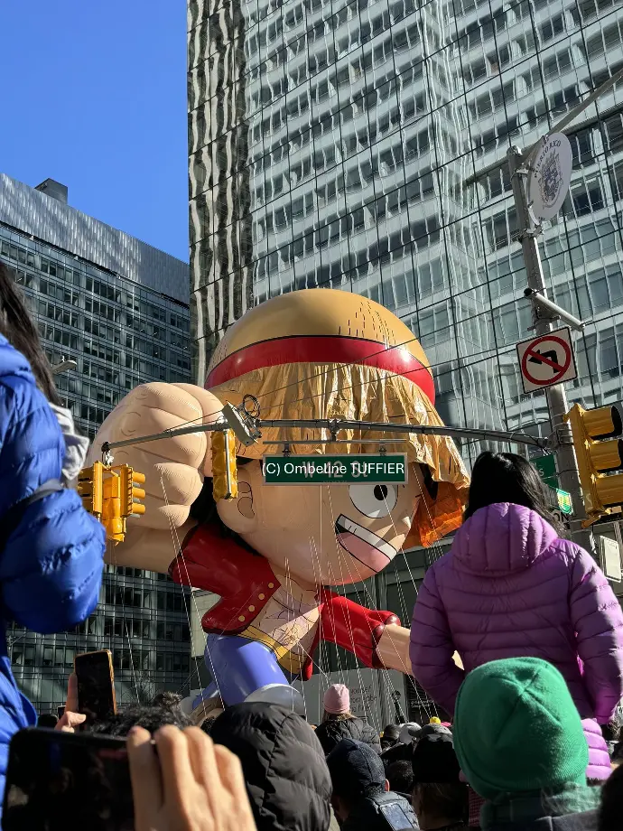parade thanksgiving one piece usa NYC