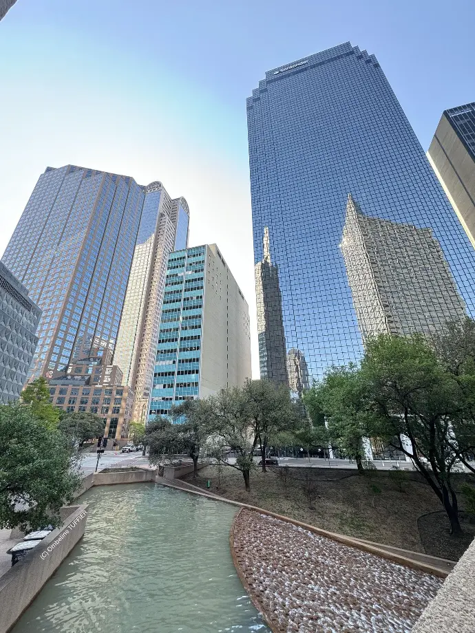 Dallas texas cow-boy