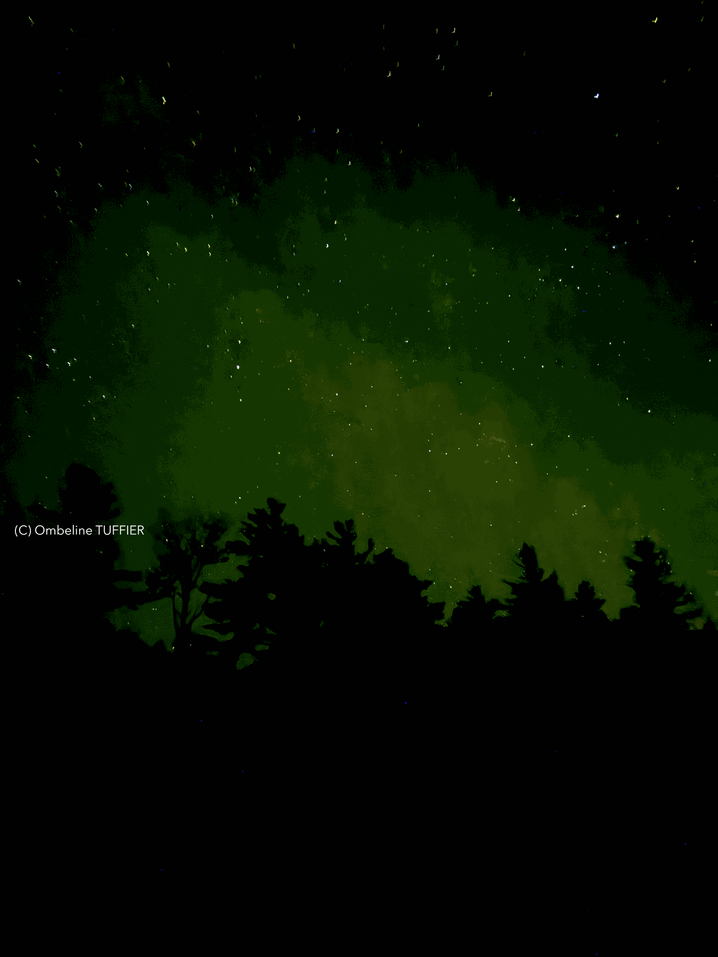 voie lacté ciel étoile NP voyageur