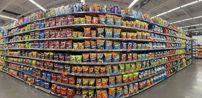 rayon usa chips
