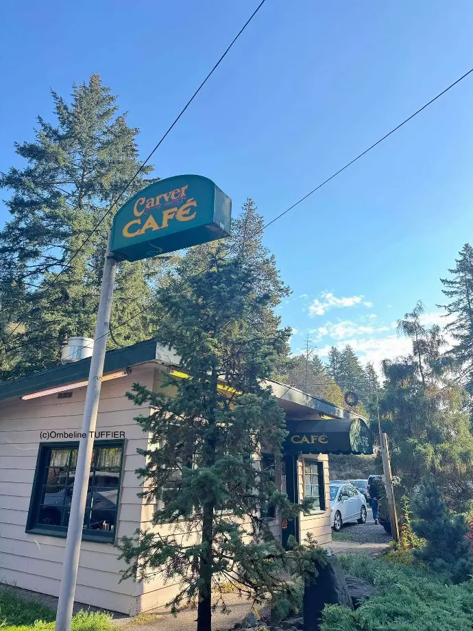 Saga Twilight café Carver